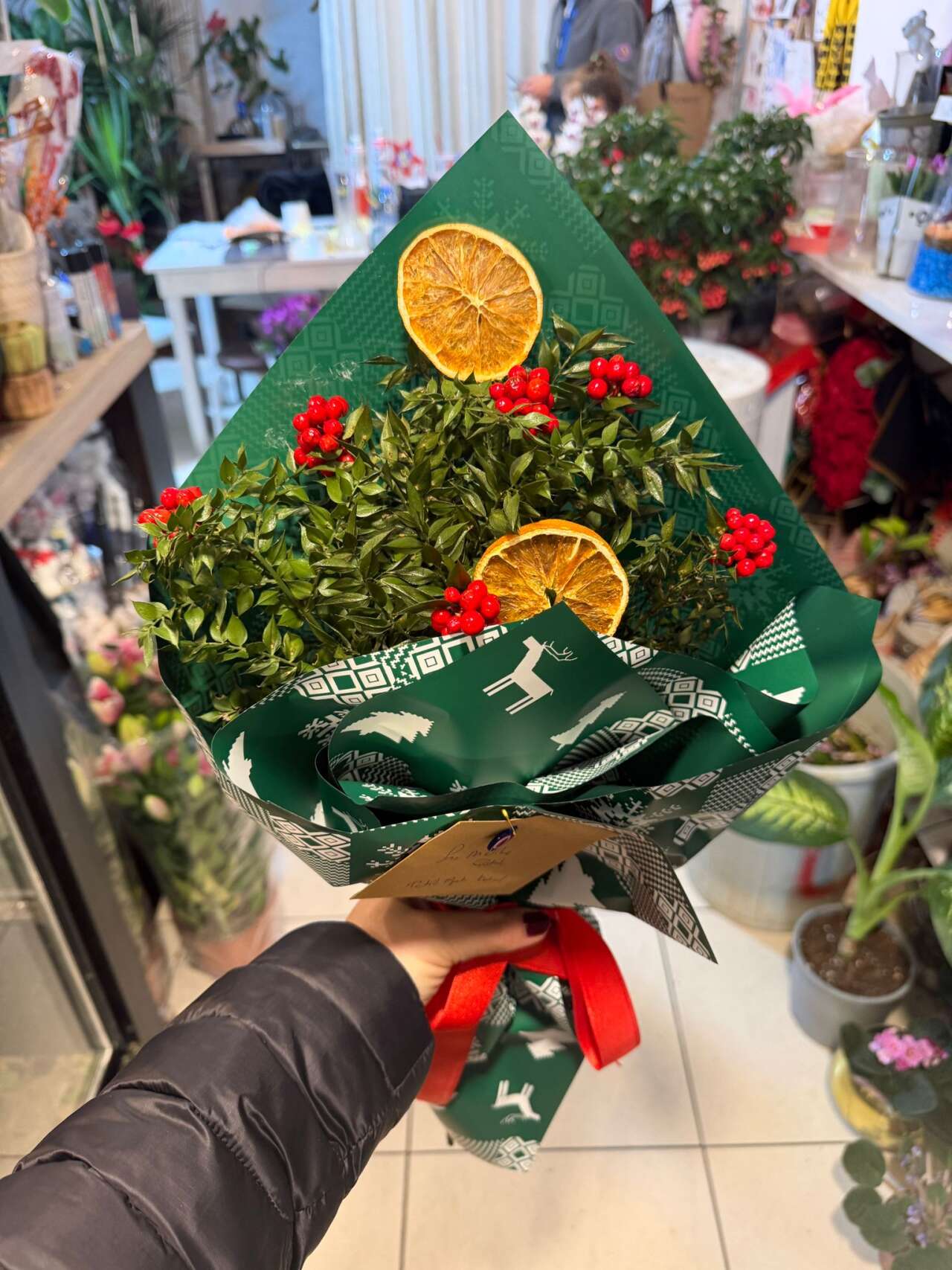 Menteşe’de Kokina Çiçeğine Talep Artıyor: Yeni Yıla Doğru İlgi Zirvede 7